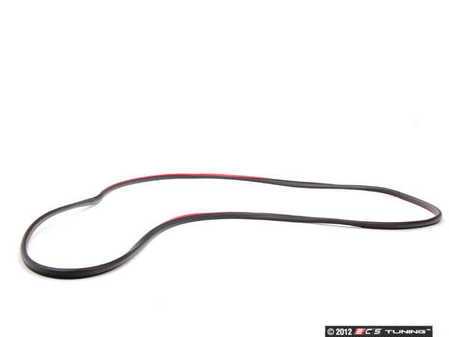 ES#94431 - 51338194696 - Front Outer Door Seal - Right - Prevent leaks and wind noise - Genuine BMW - BMW