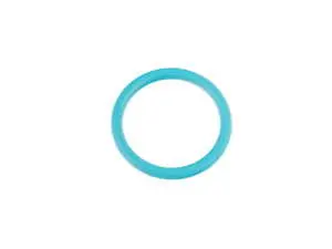 Water Pump Drive Seal O-Ring