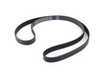 ES#613 - 078109119D - Timing Belt - V6 (12V) - The most important belt on your engine - Continental - Audi