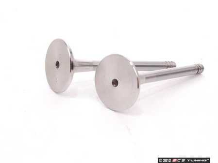 ES#260095 - 048109611B - Exhaust Valve - Priced Each - Standard replacement exhaust valve - TRW - Volkswagen