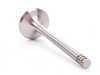 ES#260095 - 048109611B - Exhaust Valve - Priced Each - Standard replacement exhaust valve - TRW - Volkswagen