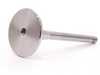 ES#260095 - 048109611B - Exhaust Valve - Priced Each - Standard replacement exhaust valve - TRW - Volkswagen