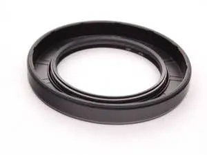 Input Shaft Seal (42x66x8)