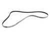 ES#2598894 - 0119974592 - Multi-Rib Accessory Belt - 21.36x2510mm - Continental - Mercedes Benz