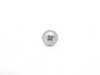ES#16095 - 07129904960 - Plastic Screw   - TS5X20 - Genuine BMW - BMW