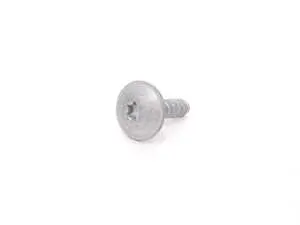 Torx Screw - Priced Each