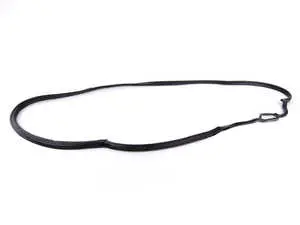 Rear Door Seal