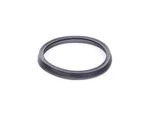 Fuel Pump Tank Seal - Priced Each