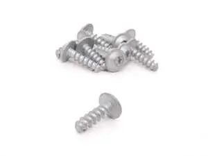 Self Tapping Screw - Pack Of 10