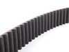 ES#3497 - 027109119A - Timing Belt - The most important belt on your engine - Continental - Volkswagen
