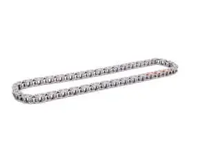 Engine Timing Chain