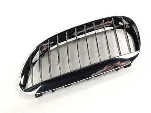 Kidney Grille - Left