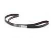 ES#3962 - 06C109119C - Timing Belt - Toothed belt replacement - Continental - Audi