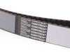 ES#3962 - 06C109119C - Timing Belt - Toothed belt replacement - Continental - Audi