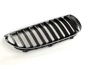 Kidney Grille - Right