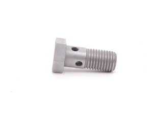 ES#4742576 - 07119905176 - Hollow Bolt - Priced Each - Attaches to oil lines washers not included. - Rein - MINI