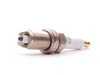 ES#1510006 - 99917019590 - Spark Plug - Priced Each - OEM spark plug - 6 required - Genuine Porsche - Porsche