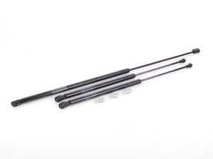 ES#2594807 - 3B0823359CKT1 - Hood And Hatch Strut Kit - Gas strut kit for the front and rear of your Wagon - Assembled By ECS - Volkswagen