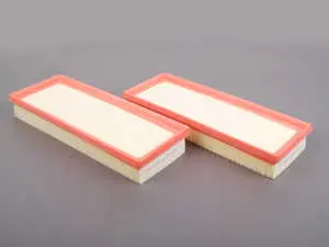 Engine Air Filters - Set