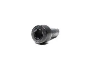 Fillister Head Screw - M10x25mm