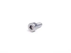 Fillister Head Screw