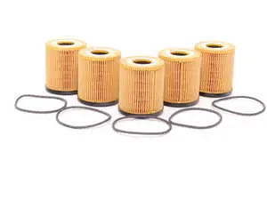 Oil Filter Kit With O-Ring - 5 Pack