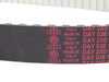 ES#275060 - 038109119M - Timing Belt - "Long Life" Timing Belt - Genuine Volkswagen Audi - Volkswagen