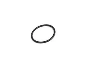 Thermostat O-Ring