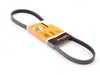 ES#1831993 - 06B260849A - Accessory Belt - A/C Compressor - Replace your cracked or worn belt - Continental - Audi BMW Volkswagen