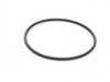ES#2602973 - 11537831103KT - Thermostat Replacement Kit - Includes thermostat, o-ring, and coolant - Genuine BMW - BMW