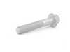 ES#16404 - 07131172101 - Hexagon Screw With Flange - Priced Each - M12X65 , Used in multiple locations. - Genuine MINI - MINI