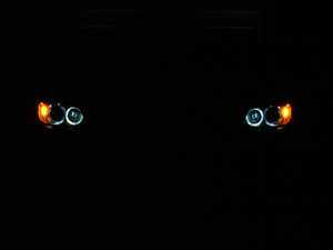 ES#1831952 - 1102979W - H8 LED Angel Eye Kit - (NO LONGER AVAILABLE) - Let your BMW's true demeanor show. - Racing Dash Enterprise - 