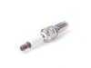ES#2066296 - 95817022290 - OEM Spark Plug - Priced Each - ILZKR8A Spark Plug - 6 required - Genuine Porsche - Porsche