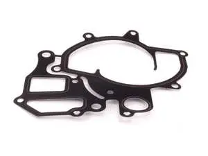 Water Pump Gasket