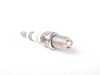 ES#2575515 - 12129069877 - Spark Plug - Bosch FGR-8-KQE, NGK BKR6EQUP (3199) - Expect high quality from Bosch - Bosch - BMW