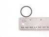 ES#23089 - 11361406377 - O-RING - Genuine BMW - BMW