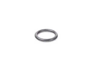 Coolant Pipe O-Ring - Priced Each