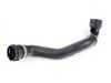ES#2608573 - 11537508688 - Radiator Hose - Lower (w/o Sensor) - A common failing hose on the X5 cooling system. Made in Germany! - Rein - BMW