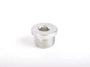 Drain/Fill Plug - Priced Each