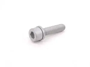 Screw