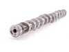 ES#22347 - 11317584803 - Camshaft - Intake - Usually replaced in conjunction with a faulty cam bearing ledge - Genuine BMW - BMW