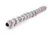 ES#22347 - 11317584803 - Camshaft - Intake - Usually replaced in conjunction with a faulty cam bearing ledge - Genuine BMW - BMW