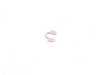 ES#1875551 - 11657606507 - Lock Ring - Priced Each - See MOQKT - Genuine BMW - BMW