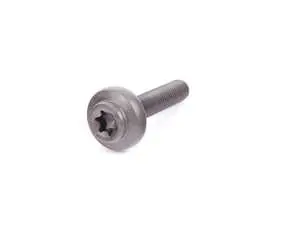 Screw