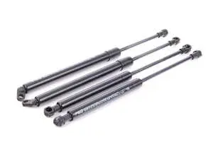Hood And Trunk Strut Kit