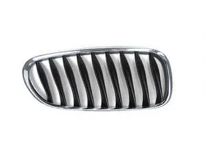 Kidney Grille - Right