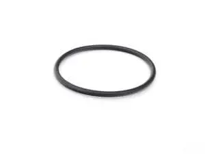 Thermostat O-Ring