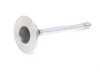 ES#2623193 - 11341251063 - Exhaust Valve - Priced Each - Replacement exhaust valve - Intervalves - BMW