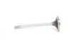 ES#2623193 - 11341251063 - Exhaust Valve - Priced Each - Replacement exhaust valve - Intervalves - BMW