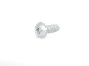 Fillister Head Screw